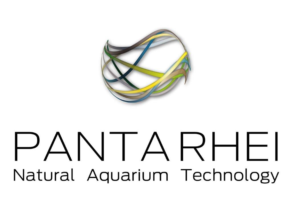 The New Panta Surge will be available soon! And showroom tour of UniqueCorals