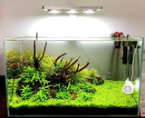 COOKIE+ PREMIUM LED LIGHT