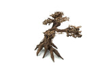Bonsai Driftwood