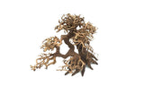 Bonsai Driftwood