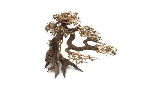 Bonsai Driftwood