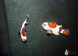 Orange Storm Clownfish