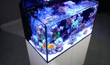 Red Sea Max E Series Rimless Aquariums