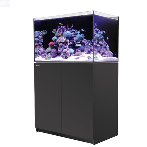 Red Sea Reefer 250 Black