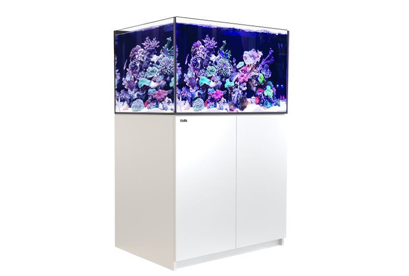 Red Sea Reefer XL 300 G2+ System (65 Gal) – Manhattan Aquariums