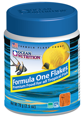 Ocean Nutrition Dry Fish Foods