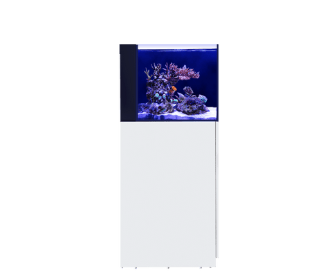 Red Sea Desktop Peninsula - Tank Only – Manhattan Aquariums