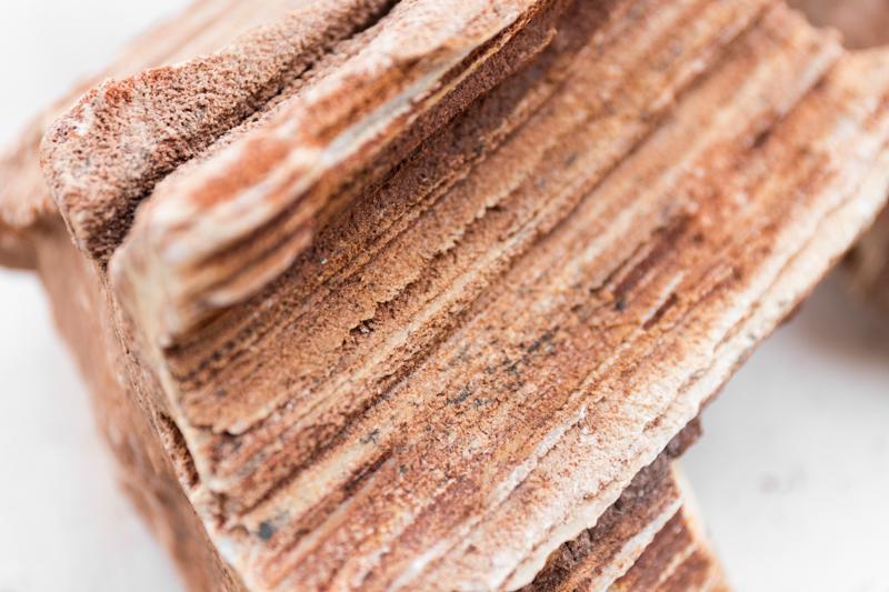 Red Petrified Wood Manhattan Aquariums