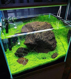 PRO-1 PROFESSIONAL LED LIGHTING SYSTEM