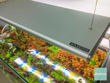PRO-1 PROFESSIONAL LED LIGHTING SYSTEM