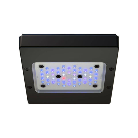 EcoTech Marine Radion XR15 G6 Blue LED Light Fixture *New
