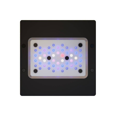 Ecotech Marine XR 15 G6 Blue LED Beleuchtung [kaufen & informieren] auf